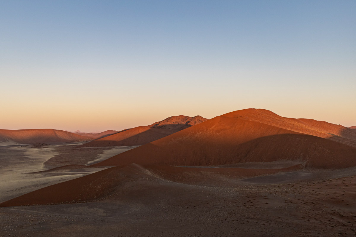 Семь тысяч километров по четырем странам Африки — вот это настоящие приключения! Семья из Владимира явно не прогадала с маршрутом. В течение трех недель любители экзотики ночевали в палатках рядом с бегемотами, встречали львов и жирафов в дикой природе, любовались морскими котиками и фламинго, а также освоили технику экстремального вождения по песку. А еще сделали более тысячи невероятных фотографий, и некоторыми из них поделились с нашим изданием.