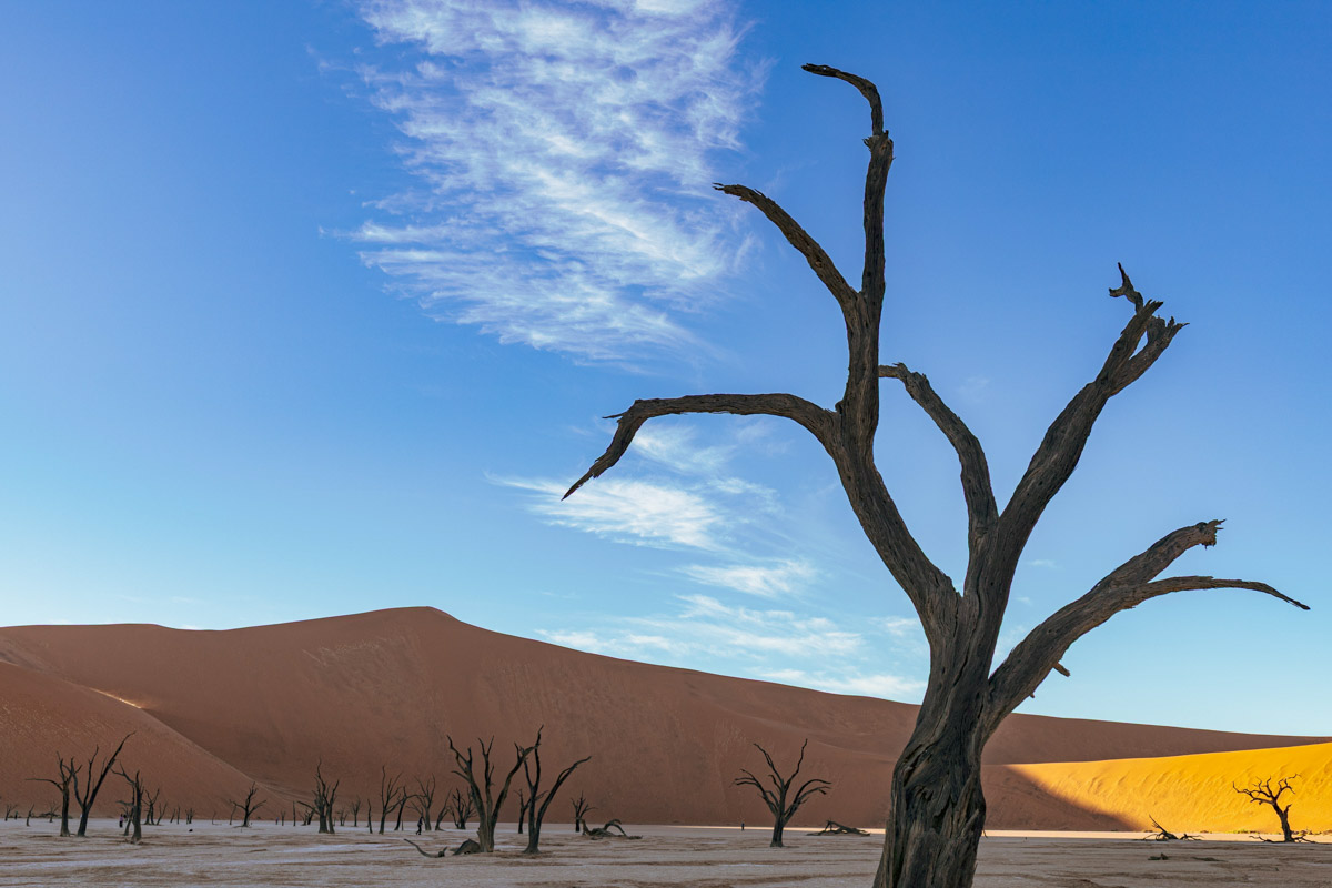 Семь тысяч километров по четырем странам Африки — вот это настоящие приключения! Семья из Владимира явно не прогадала с маршрутом. В течение трех недель любители экзотики ночевали в палатках рядом с бегемотами, встречали львов и жирафов в дикой природе, любовались морскими котиками и фламинго, а также освоили технику экстремального вождения по песку. А еще сделали более тысячи невероятных фотографий, и некоторыми из них поделились с нашим изданием.