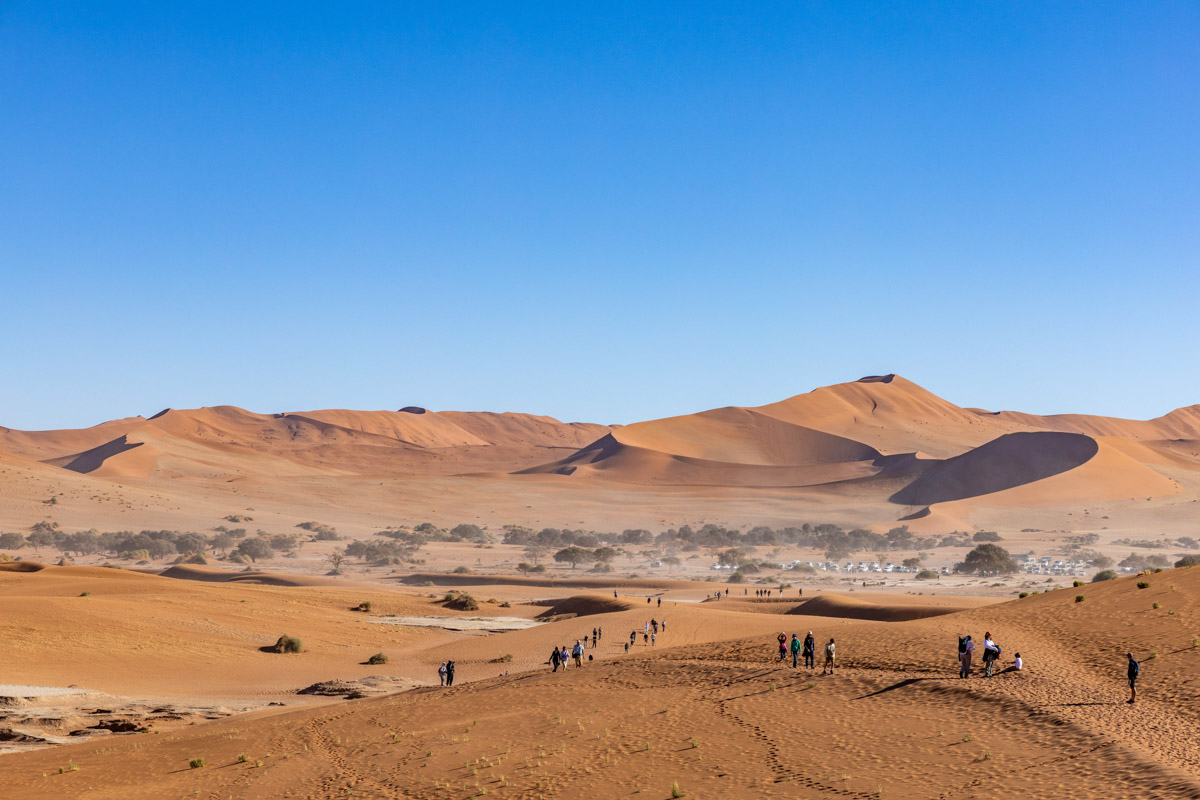 Семь тысяч километров по четырем странам Африки — вот это настоящие приключения! Семья из Владимира явно не прогадала с маршрутом. В течение трех недель любители экзотики ночевали в палатках рядом с бегемотами, встречали львов и жирафов в дикой природе, любовались морскими котиками и фламинго, а также освоили технику экстремального вождения по песку. А еще сделали более тысячи невероятных фотографий, и некоторыми из них поделились с нашим изданием.