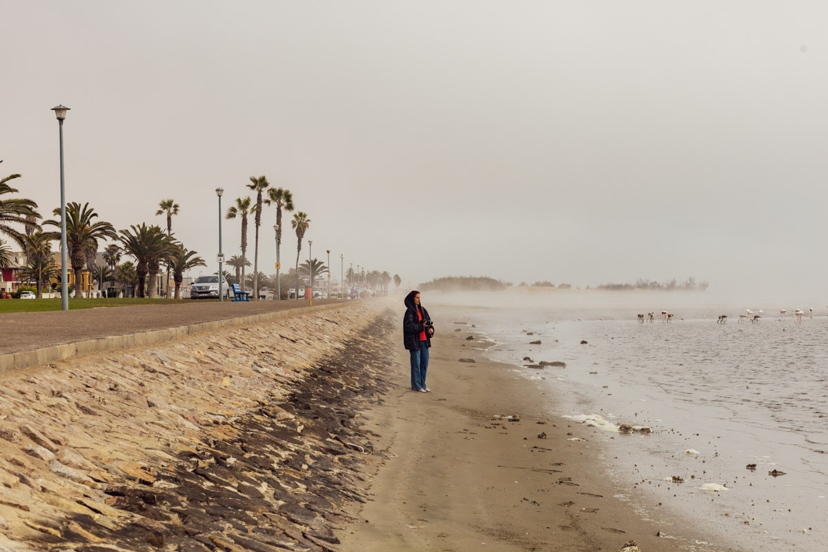 Семь тысяч километров по четырем странам Африки — вот это настоящие приключения! Семья из Владимира явно не прогадала с маршрутом. В течение трех недель любители экзотики ночевали в палатках рядом с бегемотами, встречали львов и жирафов в дикой природе, любовались морскими котиками и фламинго, а также освоили технику экстремального вождения по песку. А еще сделали более тысячи невероятных фотографий, и некоторыми из них поделились с нашим изданием.