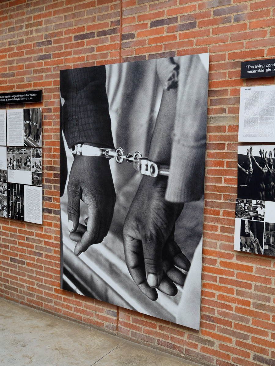 Семь тысяч километров по четырем странам Африки — вот это настоящие приключения! Семья из Владимира явно не прогадала с маршрутом. В течение трех недель любители экзотики ночевали в палатках рядом с бегемотами, встречали львов и жирафов в дикой природе, любовались морскими котиками и фламинго, а также освоили технику экстремального вождения по песку. А еще сделали более тысячи невероятных фотографий, и некоторыми из них поделились с нашим изданием.