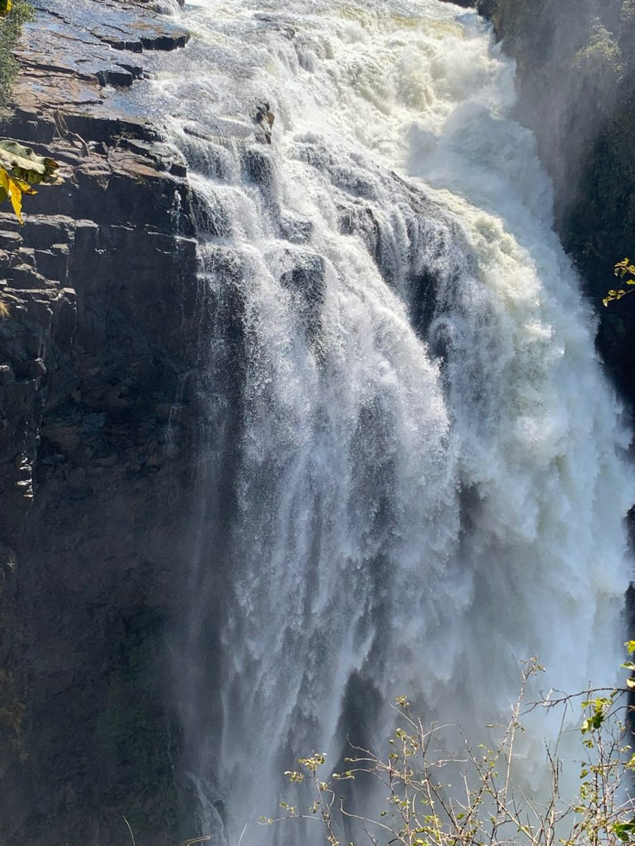 Семь тысяч километров по четырем странам Африки — вот это настоящие приключения! Семья из Владимира явно не прогадала с маршрутом. В течение трех недель любители экзотики ночевали в палатках рядом с бегемотами, встречали львов и жирафов в дикой природе, любовались морскими котиками и фламинго, а также освоили технику экстремального вождения по песку. А еще сделали более тысячи невероятных фотографий, и некоторыми из них поделились с нашим изданием.