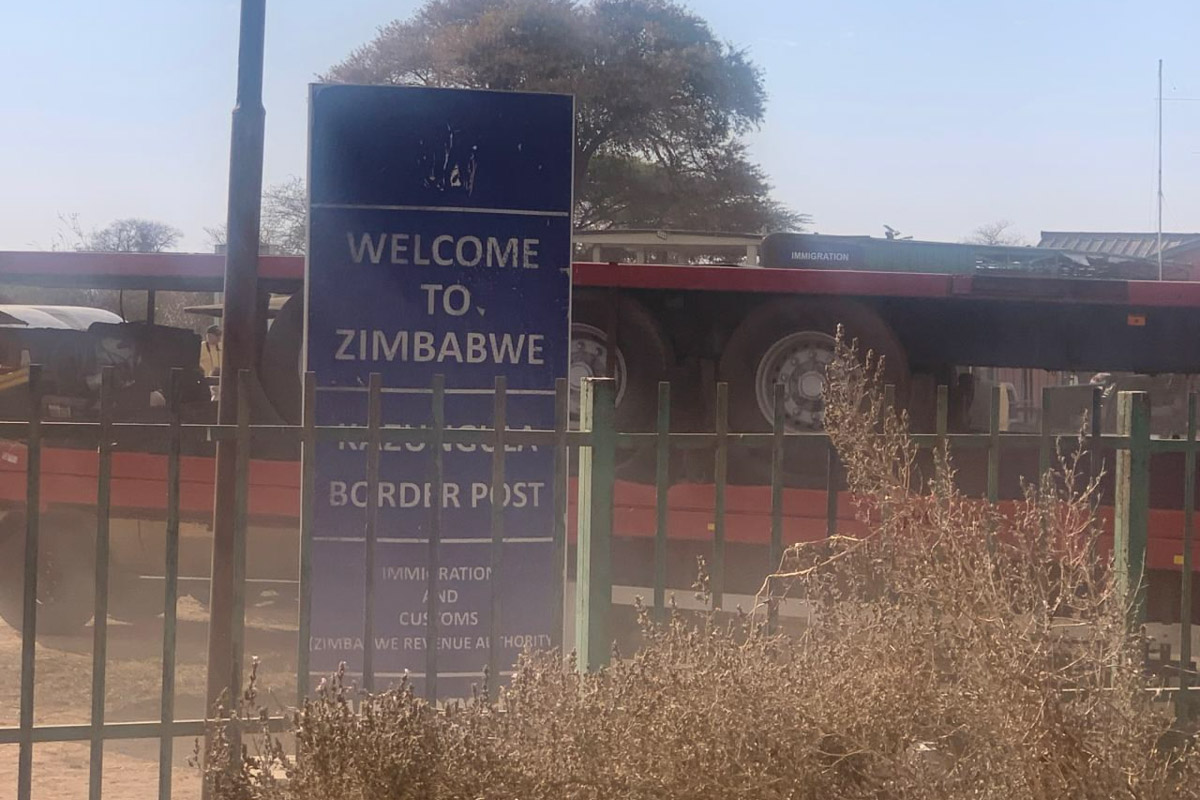 Семь тысяч километров по четырем странам Африки — вот это настоящие приключения! Семья из Владимира явно не прогадала с маршрутом. В течение трех недель любители экзотики ночевали в палатках рядом с бегемотами, встречали львов и жирафов в дикой природе, любовались морскими котиками и фламинго, а также освоили технику экстремального вождения по песку. А еще сделали более тысячи невероятных фотографий, и некоторыми из них поделились с нашим изданием.