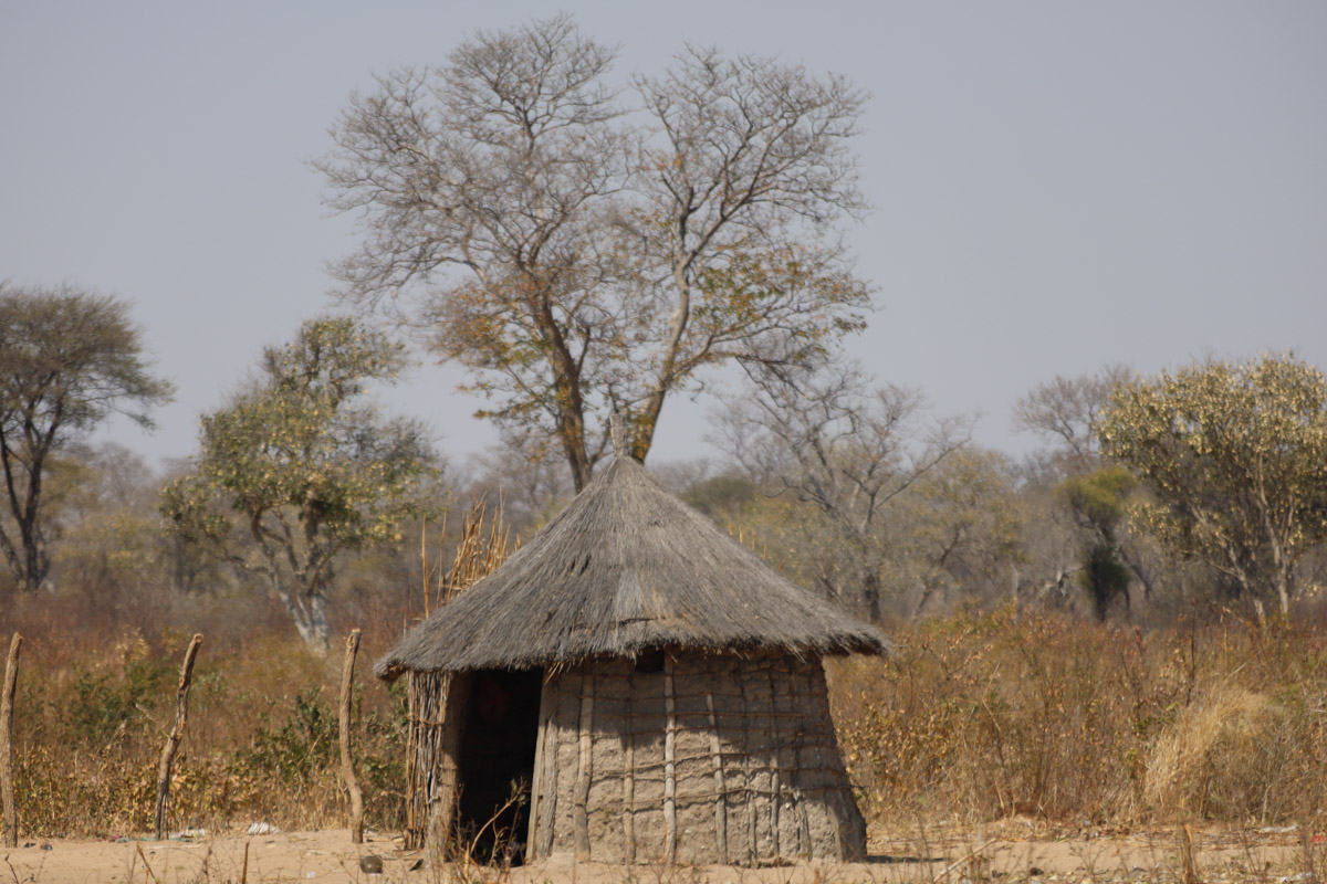 Семь тысяч километров по четырем странам Африки — вот это настоящие приключения! Семья из Владимира явно не прогадала с маршрутом. В течение трех недель любители экзотики ночевали в палатках рядом с бегемотами, встречали львов и жирафов в дикой природе, любовались морскими котиками и фламинго, а также освоили технику экстремального вождения по песку. А еще сделали более тысячи невероятных фотографий, и некоторыми из них поделились с нашим изданием.