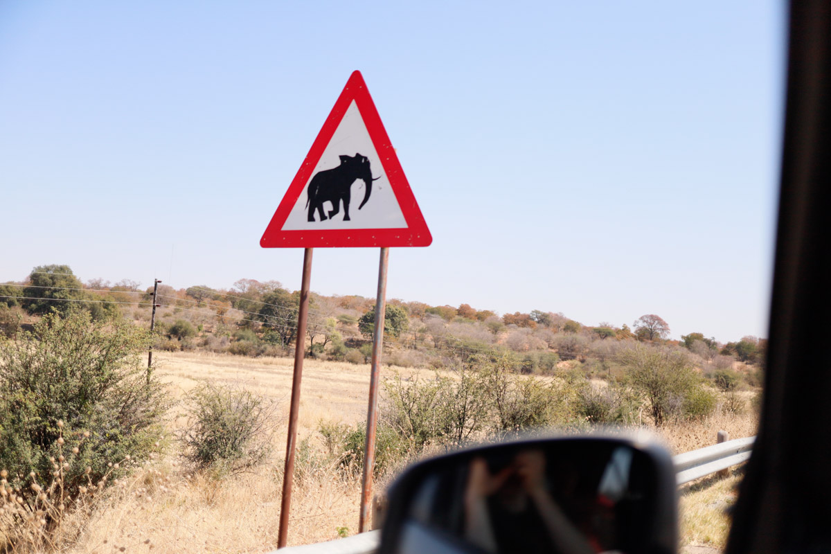 Семь тысяч километров по четырем странам Африки — вот это настоящие приключения! Семья из Владимира явно не прогадала с маршрутом. В течение трех недель любители экзотики ночевали в палатках рядом с бегемотами, встречали львов и жирафов в дикой природе, любовались морскими котиками и фламинго, а также освоили технику экстремального вождения по песку. А еще сделали более тысячи невероятных фотографий, и некоторыми из них поделились с нашим изданием.