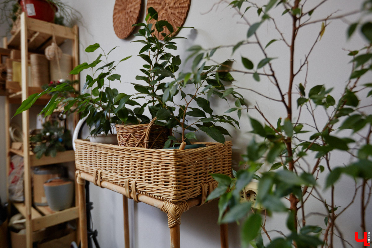 Анна Путина поражает воображение изделиями из бумаги, а конкретно эколозы. Сложно поверить, но ее работы, еще недавно представлявшие собой газетные листы, вполне утилитарны. Девушка плетет из мягких трубочек повседневные сумочки, кашпо, светильники, мебель и различный декор. В мастерской, куда «Ключ-Медиа» заглянул за вдохновением, от разнообразия форм разбегаются глаза.