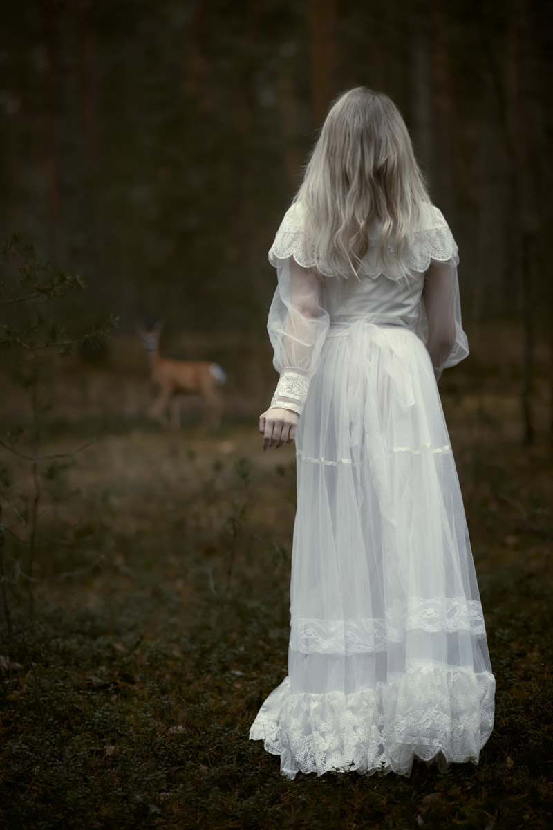 Жители Владимирской области продолжают радовать успехами на всероссийском уровне и международной арене в самых разных отраслях. На этот раз талантливые соотечественники достигли новых высот в сферах искусства, шахматного спорта и спасательной деятельности.