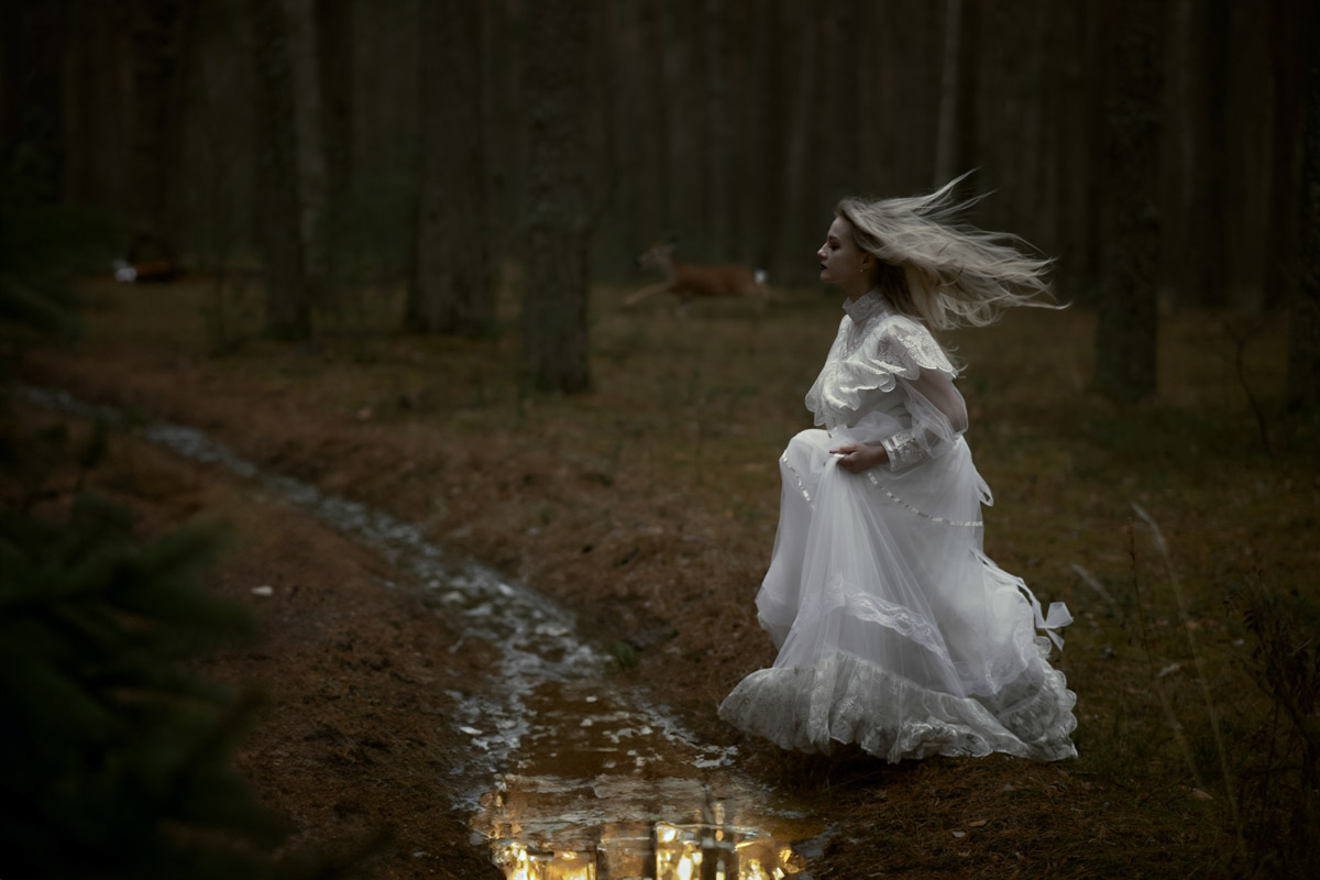 Жители Владимирской области продолжают радовать успехами на всероссийском уровне и международной арене в самых разных отраслях. На этот раз талантливые соотечественники достигли новых высот в сферах искусства, шахматного спорта и спасательной деятельности.