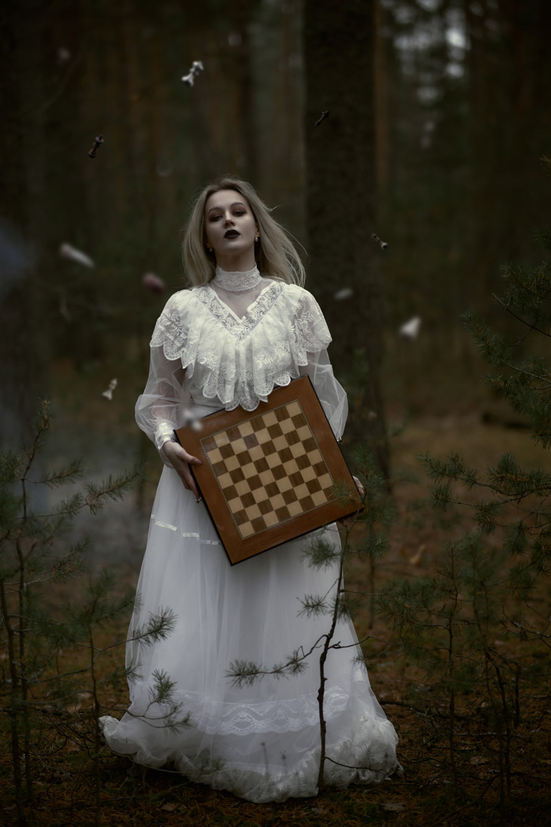 Жители Владимирской области продолжают радовать успехами на всероссийском уровне и международной арене в самых разных отраслях. На этот раз талантливые соотечественники достигли новых высот в сферах искусства, шахматного спорта и спасательной деятельности.