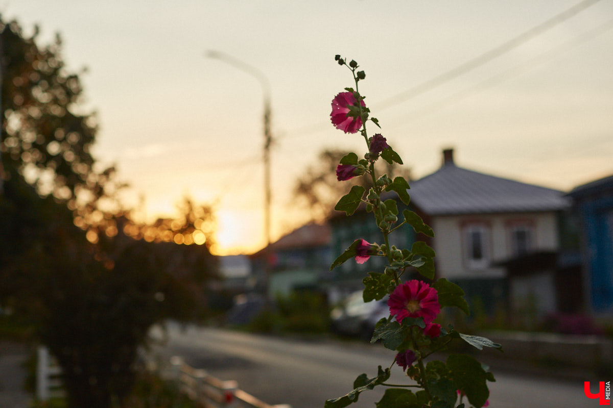 В прошлом году сентябрь ставил температурные рекорды, поэтому и в 2025 году мы отчаянно надеялись на продолжение лета. Увы, порадовал нас первый месяц сезона только парой солнечных недель. По прогнозам синоптиков, в конце семидневки жители 33-го региона почувствуют дыхание осени.