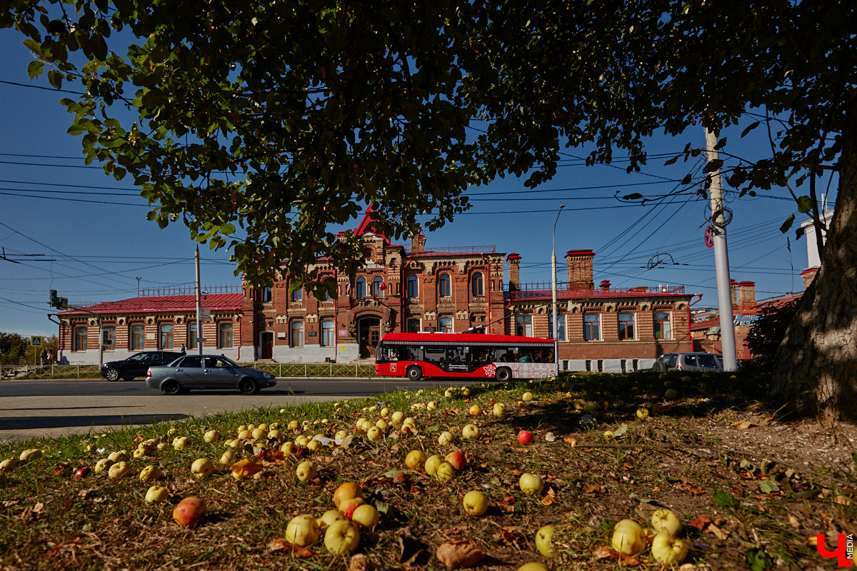 В прошлом году сентябрь ставил температурные рекорды, поэтому и в 2025 году мы отчаянно надеялись на продолжение лета. Увы, порадовал нас первый месяц сезона только парой солнечных недель. По прогнозам синоптиков, в конце семидневки жители 33-го региона почувствуют дыхание осени.