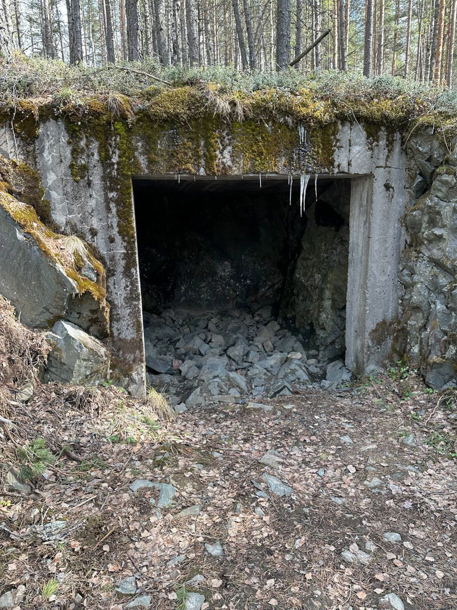 Териберка — это особое место. Край земли, символ красоты северной природы. Мария Гусева всегда хотела там оказаться. И вот подвернулась возможность. Супруг, воодушевившись рабочей поездкой на Кольский полуостров, организовал автопутешествие в Арктику для всей семьи. Забегая вперед, скажем: тур получился очень насыщенным!