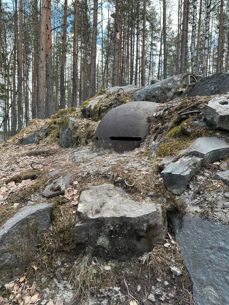 Териберка — это особое место. Край земли, символ красоты северной природы. Мария Гусева всегда хотела там оказаться. И вот подвернулась возможность. Супруг, воодушевившись рабочей поездкой на Кольский полуостров, организовал автопутешествие в Арктику для всей семьи. Забегая вперед, скажем: тур получился очень насыщенным!