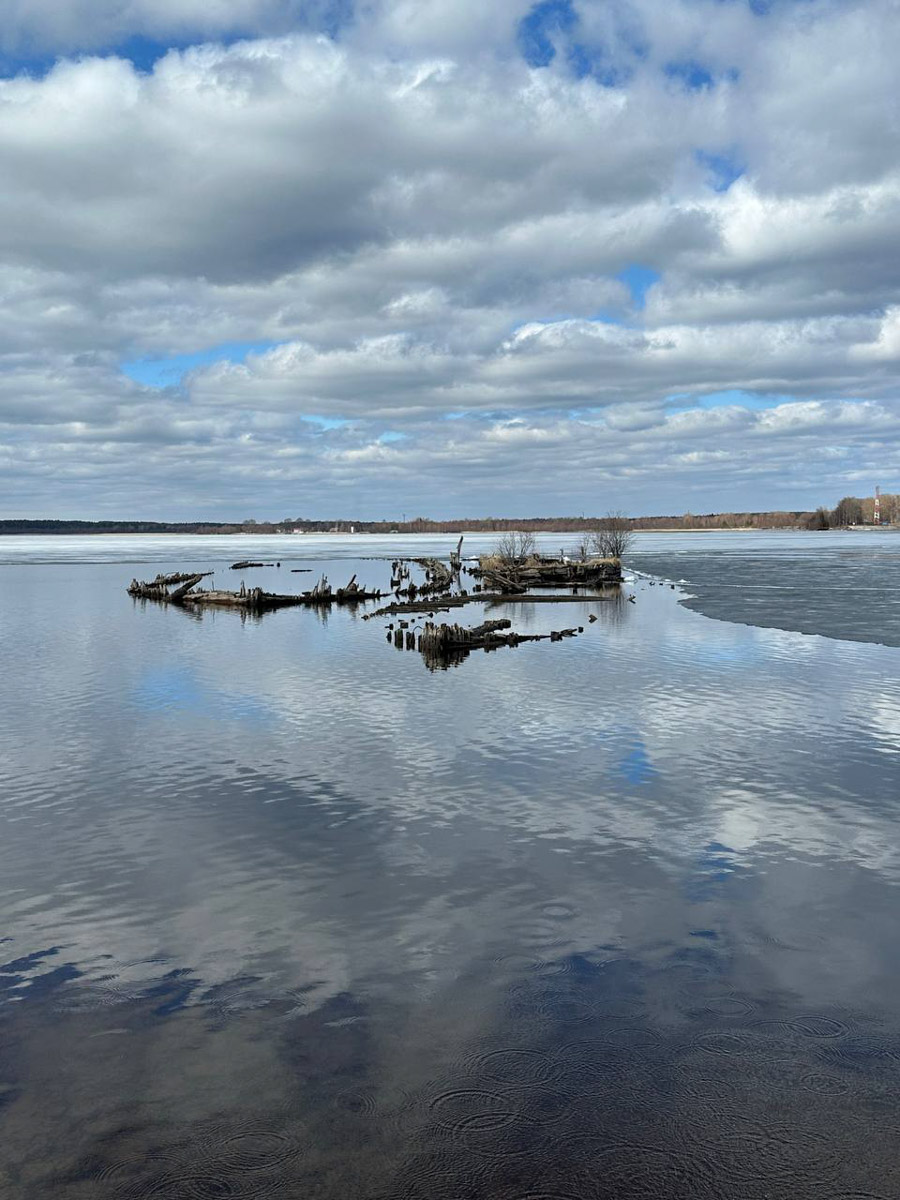 Териберка — это особое место. Край земли, символ красоты северной природы. Мария Гусева всегда хотела там оказаться. И вот подвернулась возможность. Супруг, воодушевившись рабочей поездкой на Кольский полуостров, организовал автопутешествие в Арктику для всей семьи. Забегая вперед, скажем: тур получился очень насыщенным!