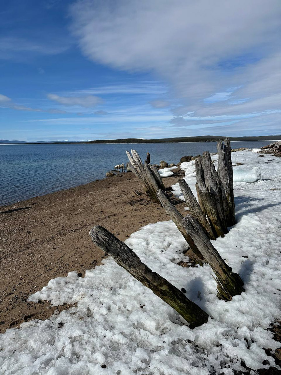 Териберка — это особое место. Край земли, символ красоты северной природы. Мария Гусева всегда хотела там оказаться. И вот подвернулась возможность. Супруг, воодушевившись рабочей поездкой на Кольский полуостров, организовал автопутешествие в Арктику для всей семьи. Забегая вперед, скажем: тур получился очень насыщенным!