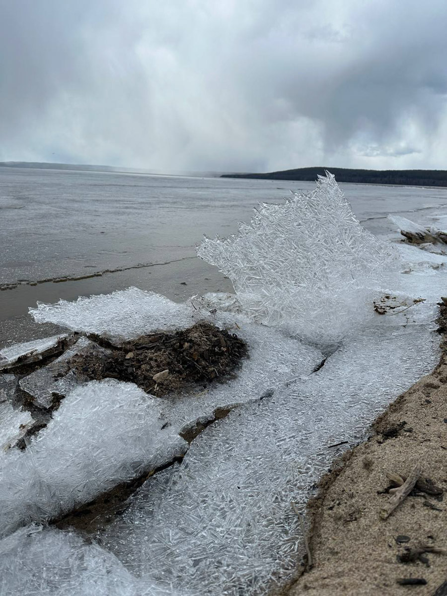Териберка — это особое место. Край земли, символ красоты северной природы. Мария Гусева всегда хотела там оказаться. И вот подвернулась возможность. Супруг, воодушевившись рабочей поездкой на Кольский полуостров, организовал автопутешествие в Арктику для всей семьи. Забегая вперед, скажем: тур получился очень насыщенным!