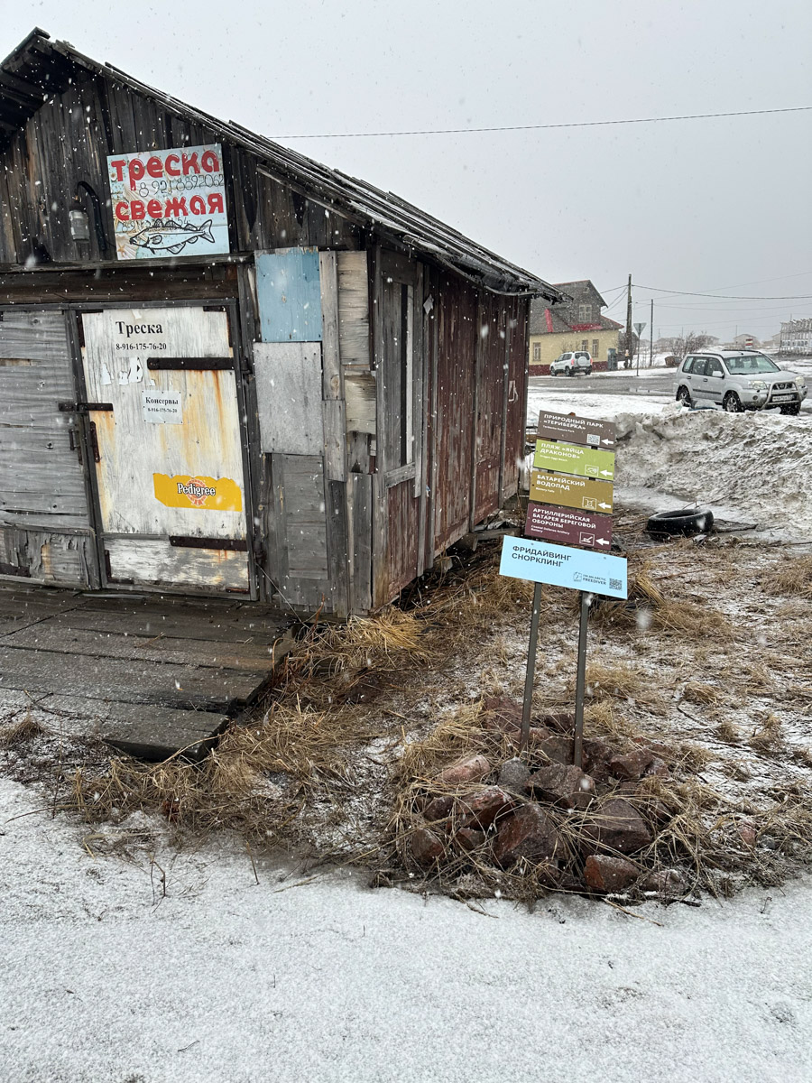 Териберка — это особое место. Край земли, символ красоты северной природы. Мария Гусева всегда хотела там оказаться. И вот подвернулась возможность. Супруг, воодушевившись рабочей поездкой на Кольский полуостров, организовал автопутешествие в Арктику для всей семьи. Забегая вперед, скажем: тур получился очень насыщенным!