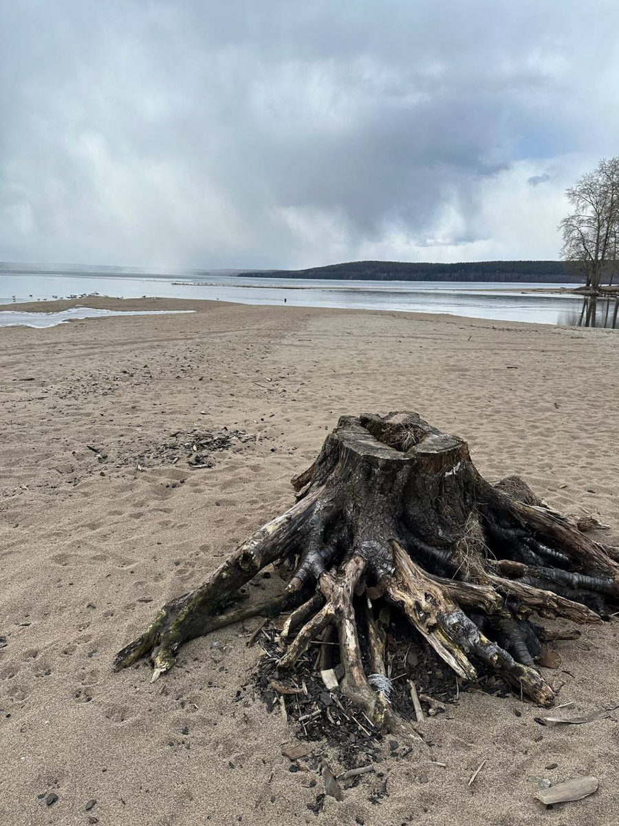 Териберка — это особое место. Край земли, символ красоты северной природы. Мария Гусева всегда хотела там оказаться. И вот подвернулась возможность. Супруг, воодушевившись рабочей поездкой на Кольский полуостров, организовал автопутешествие в Арктику для всей семьи. Забегая вперед, скажем: тур получился очень насыщенным!