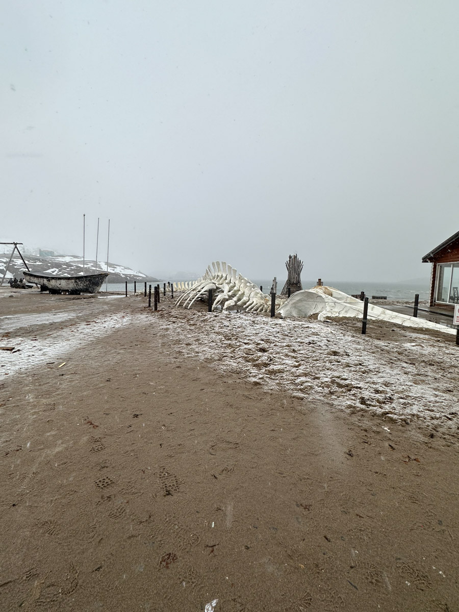 Териберка — это особое место. Край земли, символ красоты северной природы. Мария Гусева всегда хотела там оказаться. И вот подвернулась возможность. Супруг, воодушевившись рабочей поездкой на Кольский полуостров, организовал автопутешествие в Арктику для всей семьи. Забегая вперед, скажем: тур получился очень насыщенным!