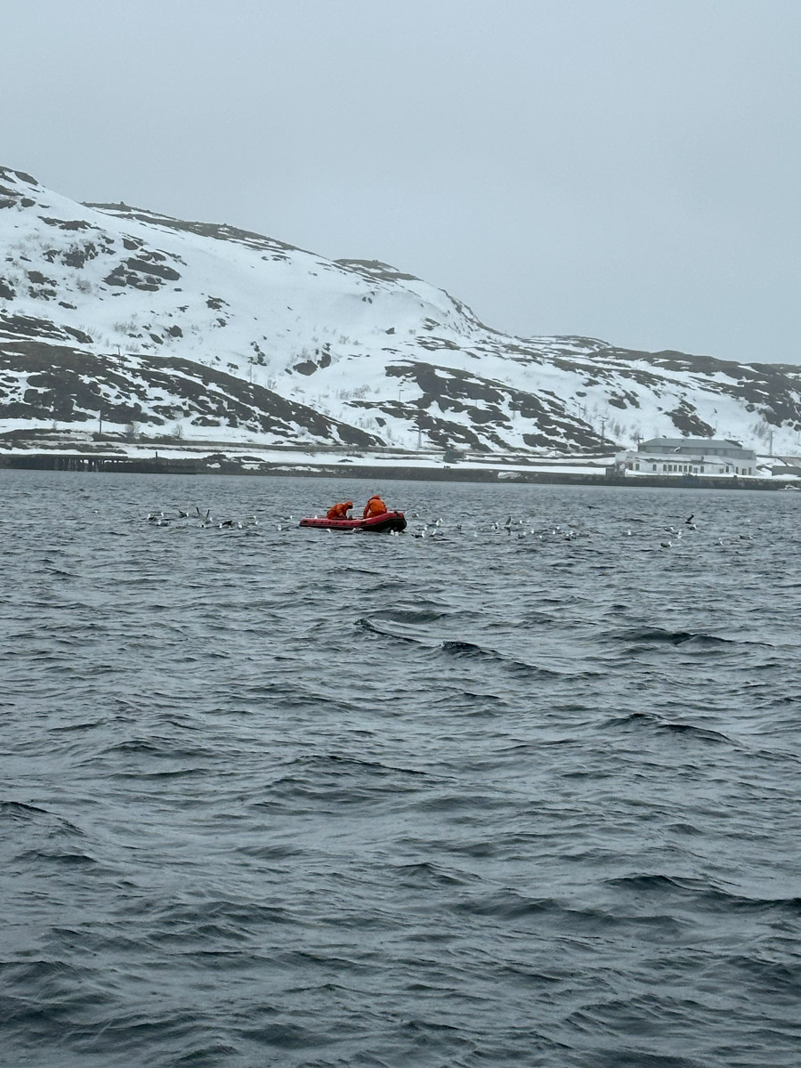 Териберка — это особое место. Край земли, символ красоты северной природы. Мария Гусева всегда хотела там оказаться. И вот подвернулась возможность. Супруг, воодушевившись рабочей поездкой на Кольский полуостров, организовал автопутешествие в Арктику для всей семьи. Забегая вперед, скажем: тур получился очень насыщенным!