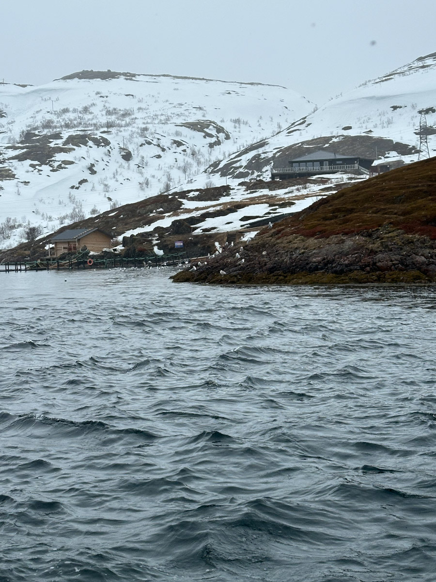 Териберка — это особое место. Край земли, символ красоты северной природы. Мария Гусева всегда хотела там оказаться. И вот подвернулась возможность. Супруг, воодушевившись рабочей поездкой на Кольский полуостров, организовал автопутешествие в Арктику для всей семьи. Забегая вперед, скажем: тур получился очень насыщенным!