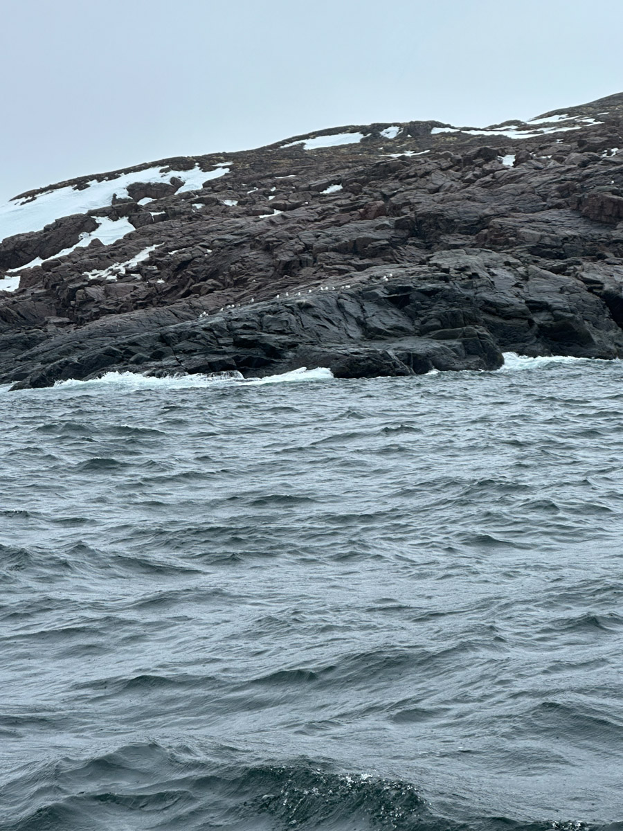 Териберка — это особое место. Край земли, символ красоты северной природы. Мария Гусева всегда хотела там оказаться. И вот подвернулась возможность. Супруг, воодушевившись рабочей поездкой на Кольский полуостров, организовал автопутешествие в Арктику для всей семьи. Забегая вперед, скажем: тур получился очень насыщенным!