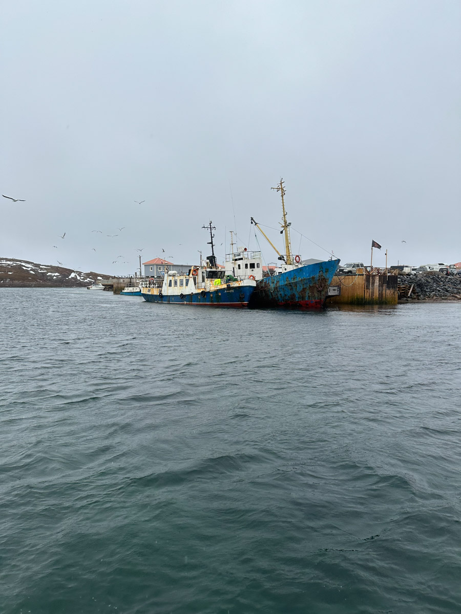 Териберка — это особое место. Край земли, символ красоты северной природы. Мария Гусева всегда хотела там оказаться. И вот подвернулась возможность. Супруг, воодушевившись рабочей поездкой на Кольский полуостров, организовал автопутешествие в Арктику для всей семьи. Забегая вперед, скажем: тур получился очень насыщенным!