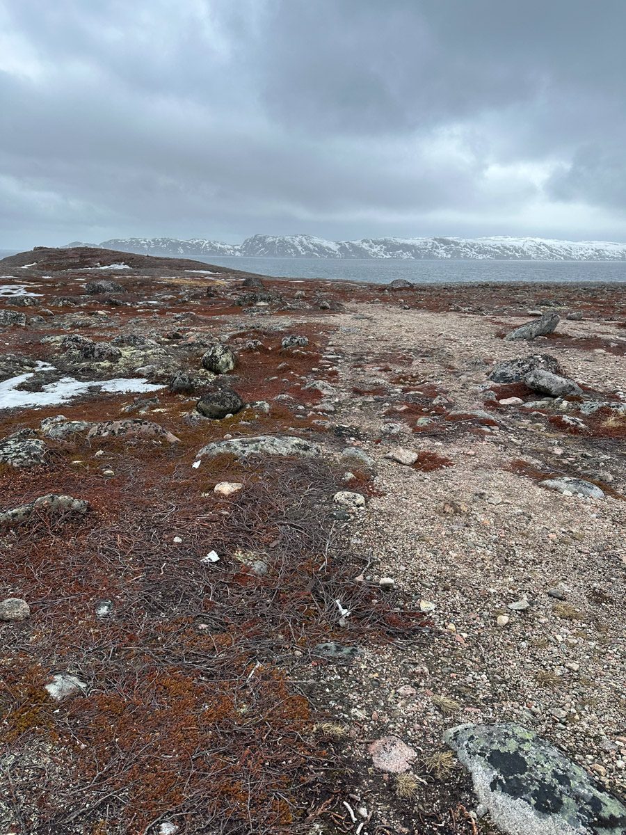 Териберка — это особое место. Край земли, символ красоты северной природы. Мария Гусева всегда хотела там оказаться. И вот подвернулась возможность. Супруг, воодушевившись рабочей поездкой на Кольский полуостров, организовал автопутешествие в Арктику для всей семьи. Забегая вперед, скажем: тур получился очень насыщенным!