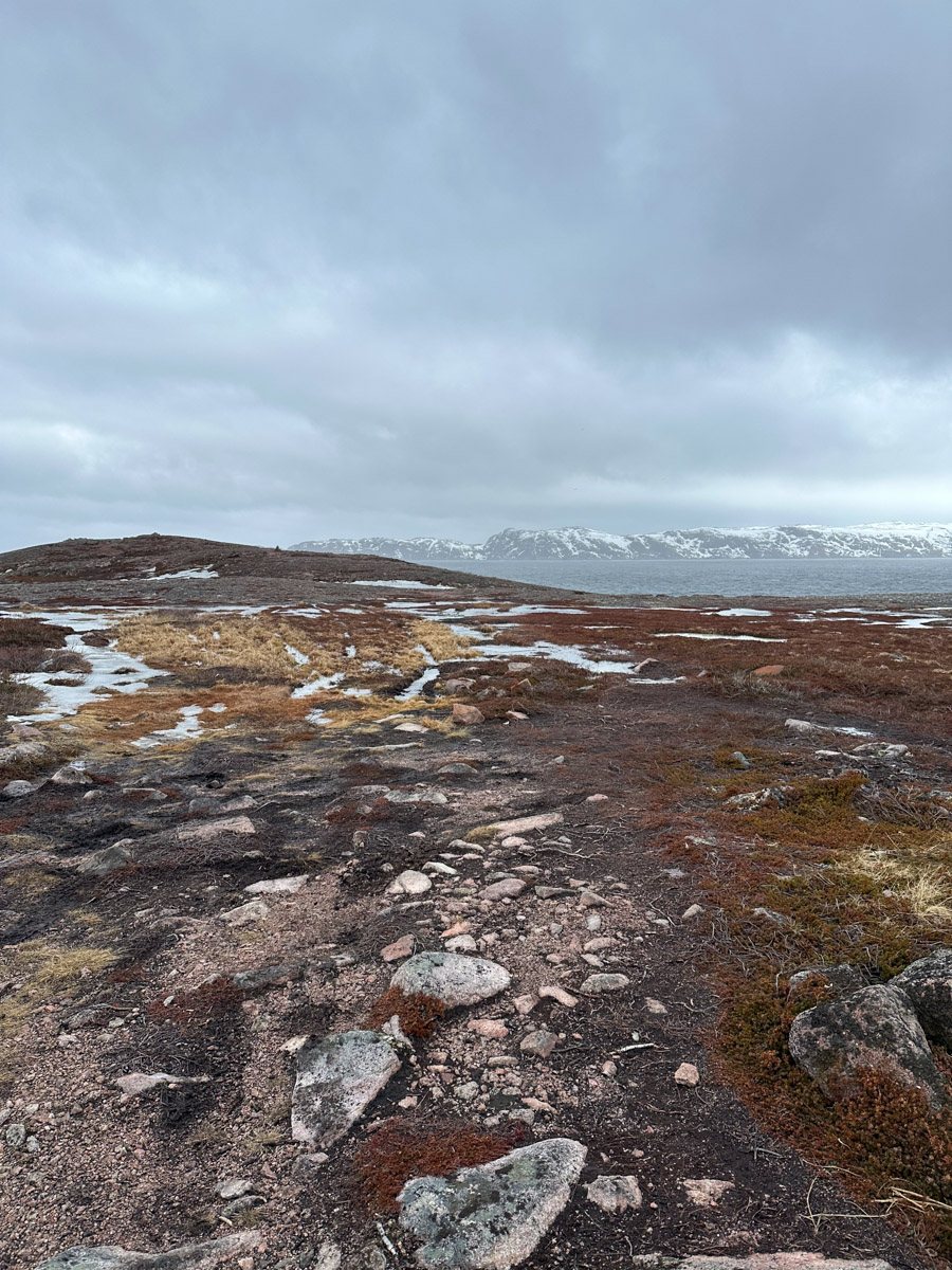 Териберка — это особое место. Край земли, символ красоты северной природы. Мария Гусева всегда хотела там оказаться. И вот подвернулась возможность. Супруг, воодушевившись рабочей поездкой на Кольский полуостров, организовал автопутешествие в Арктику для всей семьи. Забегая вперед, скажем: тур получился очень насыщенным!