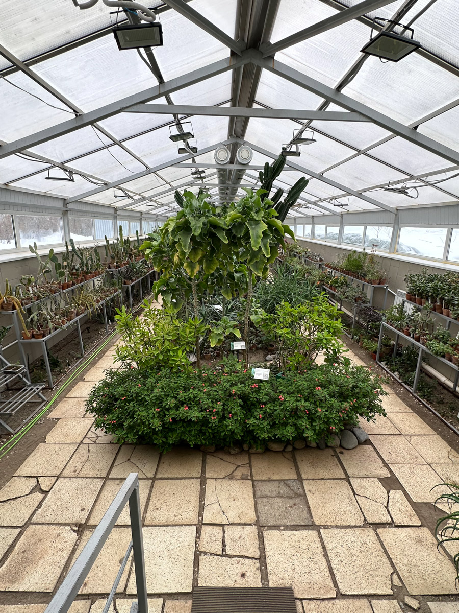 Териберка — это особое место. Край земли, символ красоты северной природы. Мария Гусева всегда хотела там оказаться. И вот подвернулась возможность. Супруг, воодушевившись рабочей поездкой на Кольский полуостров, организовал автопутешествие в Арктику для всей семьи. Забегая вперед, скажем: тур получился очень насыщенным!