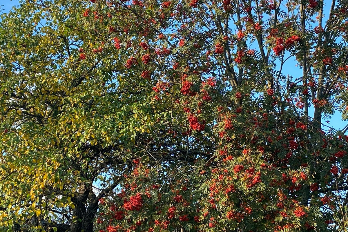 Сентябрь в этом году маскируется под июль, особенно в дневные часы. Идеально для коротких сплавов на сапбордах! Тем более если есть повод попасть по воде туда, куда не добраться по суше! Владимирские путешественники не только вдоволь насладились исконно русскими пейзажами, но и обнаружили на левом берегу Нерли затерянный в Суздальском ополье сельский театр.