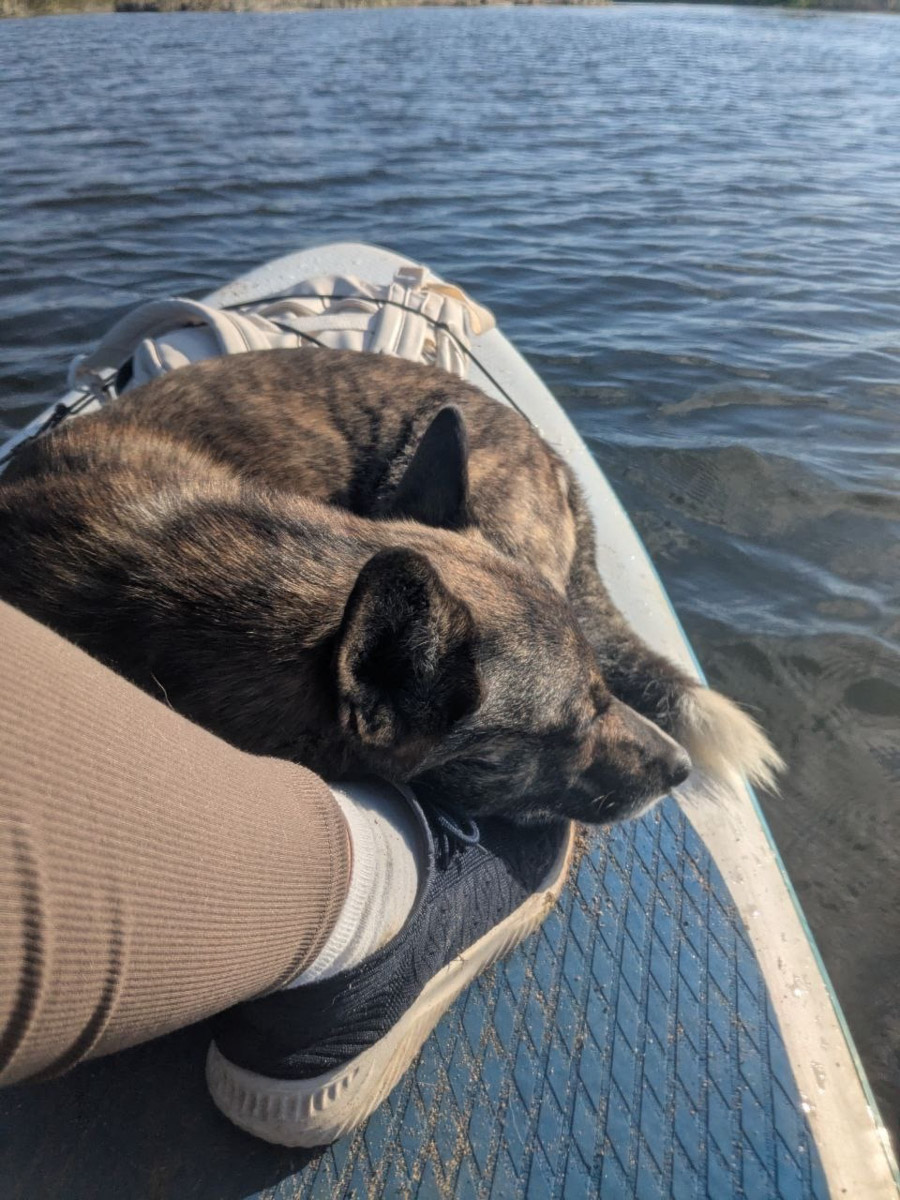 Сентябрь в этом году маскируется под июль, особенно в дневные часы. Идеально для коротких сплавов на сапбордах! Тем более если есть повод попасть по воде туда, куда не добраться по суше! Владимирские путешественники не только вдоволь насладились исконно русскими пейзажами, но и обнаружили на левом берегу Нерли затерянный в Суздальском ополье сельский театр.