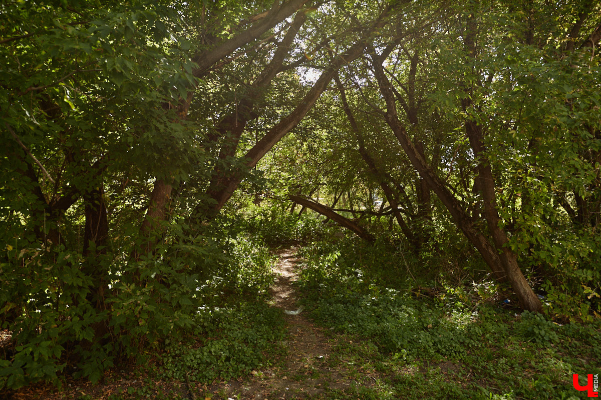 Что вы представляете в первую очередь, когда слышите словосочетание «спальный район»? Если возникает мысль исключительно о заросших аллеях и серых панельках, обязательно прогуляйтесь от конечной остановки «Улица Балакирева» до недавно обновленного бульвара Художника Иванова. Маршрут наверняка заставит вас изменить мнение.