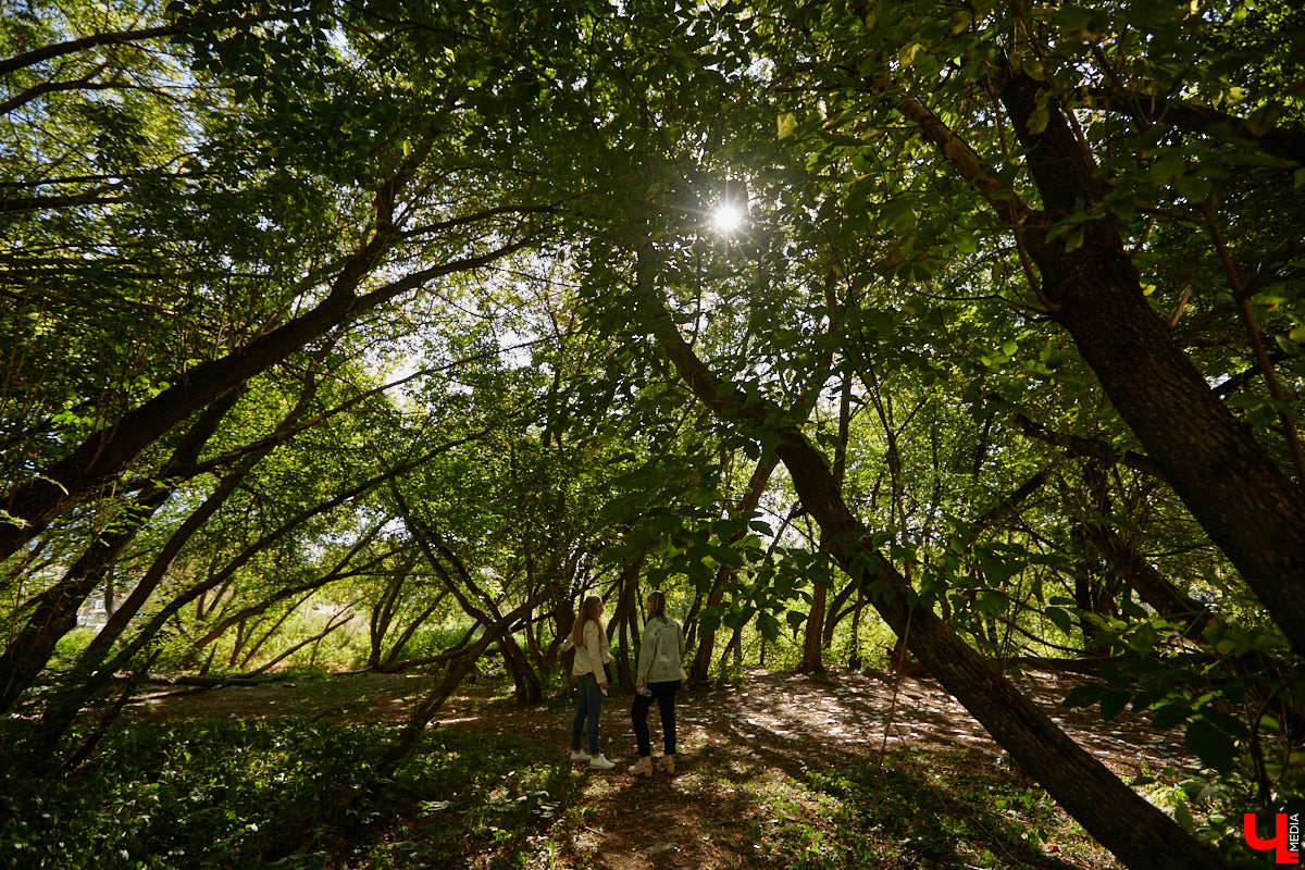Что вы представляете в первую очередь, когда слышите словосочетание «спальный район»? Если возникает мысль исключительно о заросших аллеях и серых панельках, обязательно прогуляйтесь от конечной остановки «Улица Балакирева» до недавно обновленного бульвара Художника Иванова. Маршрут наверняка заставит вас изменить мнение.