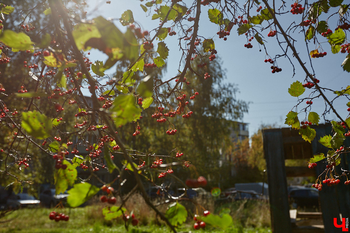 Что вы представляете в первую очередь, когда слышите словосочетание «спальный район»? Если возникает мысль исключительно о заросших аллеях и серых панельках, обязательно прогуляйтесь от конечной остановки «Улица Балакирева» до недавно обновленного бульвара Художника Иванова. Маршрут наверняка заставит вас изменить мнение.