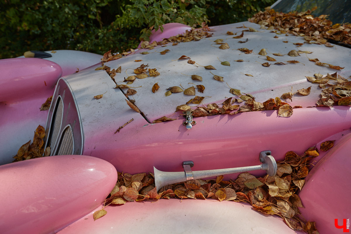 Что вы представляете в первую очередь, когда слышите словосочетание «спальный район»? Если возникает мысль исключительно о заросших аллеях и серых панельках, обязательно прогуляйтесь от конечной остановки «Улица Балакирева» до недавно обновленного бульвара Художника Иванова. Маршрут наверняка заставит вас изменить мнение.