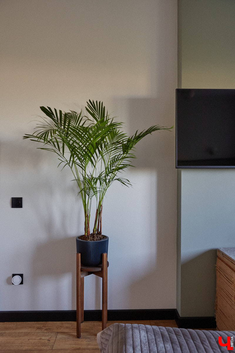 Никита Чуркин и Сабина Ханбабаева – легкие на подъем ребята. Могут в один день решить переехать, если того потребует душа. Они жили в разных городах и странах, сменили массу квартир и необычных отельных номеров. Сейчас пара снова обосновалась во Владимире, и «Ключ-Медиа» с удовольствием заглянул на огонек к радушным хозяевам.