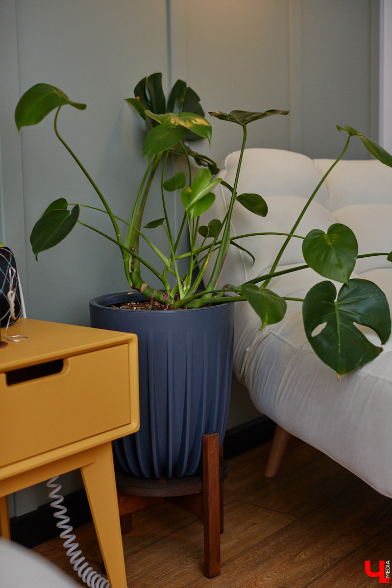 Никита Чуркин и Сабина Ханбабаева – легкие на подъем ребята. Могут в один день решить переехать, если того потребует душа. Они жили в разных городах и странах, сменили массу квартир и необычных отельных номеров. Сейчас пара снова обосновалась во Владимире, и «Ключ-Медиа» с удовольствием заглянул на огонек к радушным хозяевам.