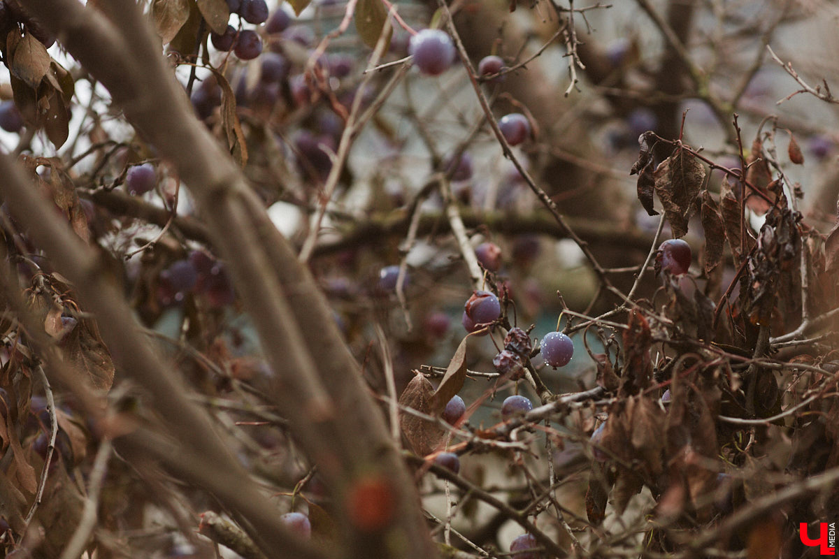 Погожие дни, раскрашенные в красно-желтые цвета, увы, позади. И впереди совсем не вдохновляющая картина. Согласно предсказаниям метеорологов, на страну надвигается циклон «Бернвард», который попросит бархатный сезон посторониться, чтобы погрузить нас в хардкорную осень