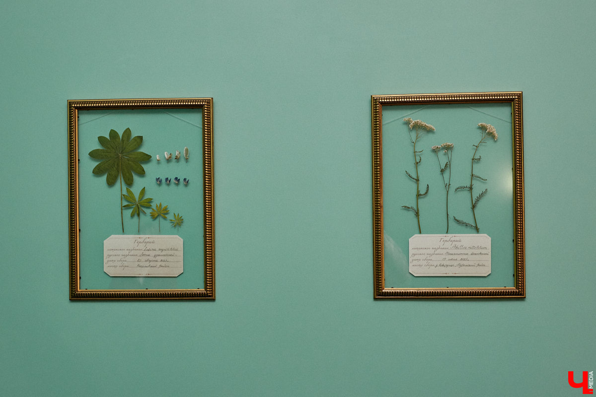 В «Старой аптеке» открылся демонстрационный зал с кабинетом провизора. А значит, у владимирцев и гостей города появился новый повод посетить экспозицию. Всё внимание на первого заведующего аптекой, Христофора Калкау. Манекен за столом – точная копия бронзовой фигуры на входе