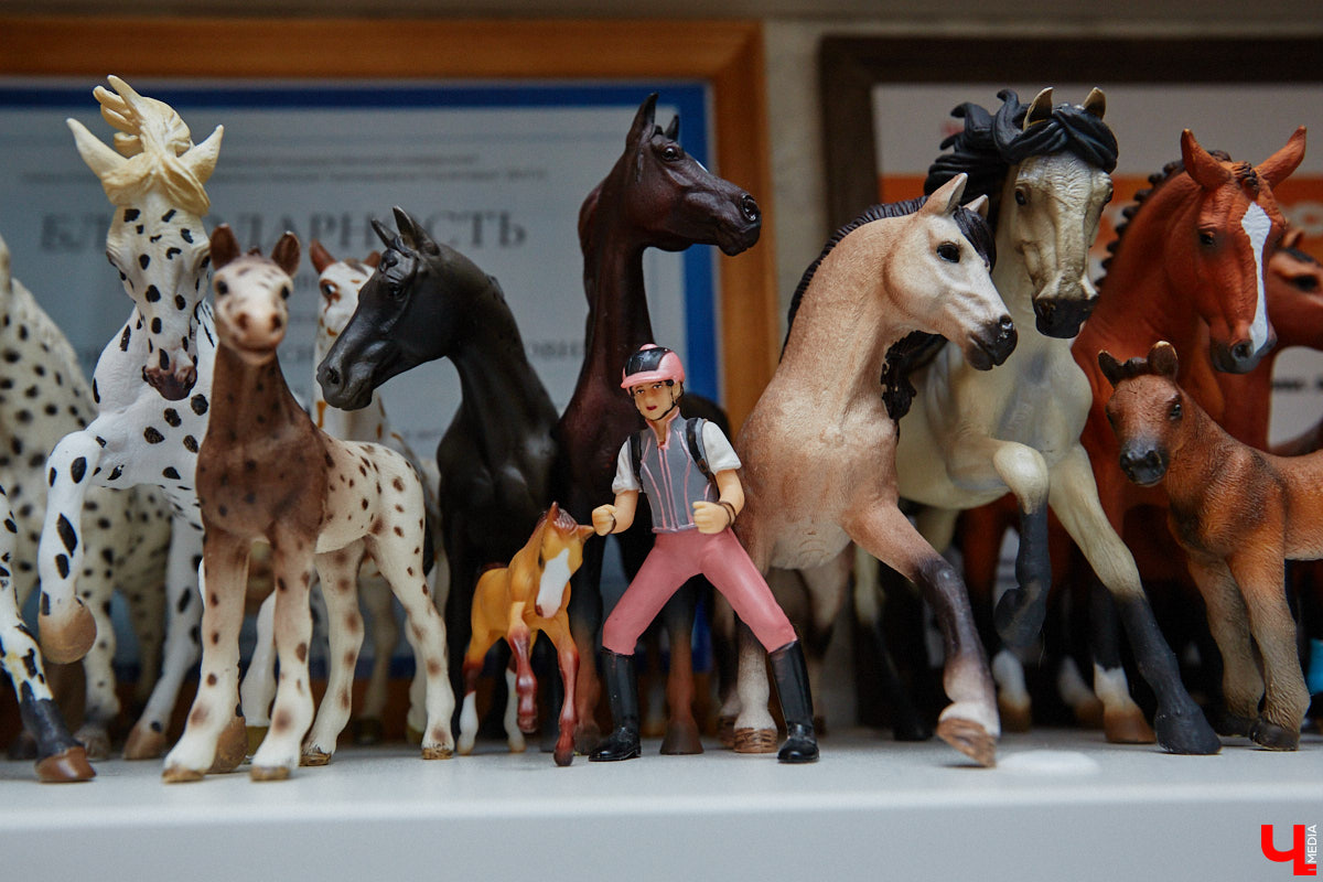 Любовь с первого взгляда. Именно это можно считать причиной появления коллекционных мини-лошадок на полках у Анастасии Лещинской. Собрание продолжает пополняться и сегодня, спустя 14 лет с момента приобретения первой фигурки. О самых редких и любимых статуэтках девушка рассказала «Ключ-Медиа»