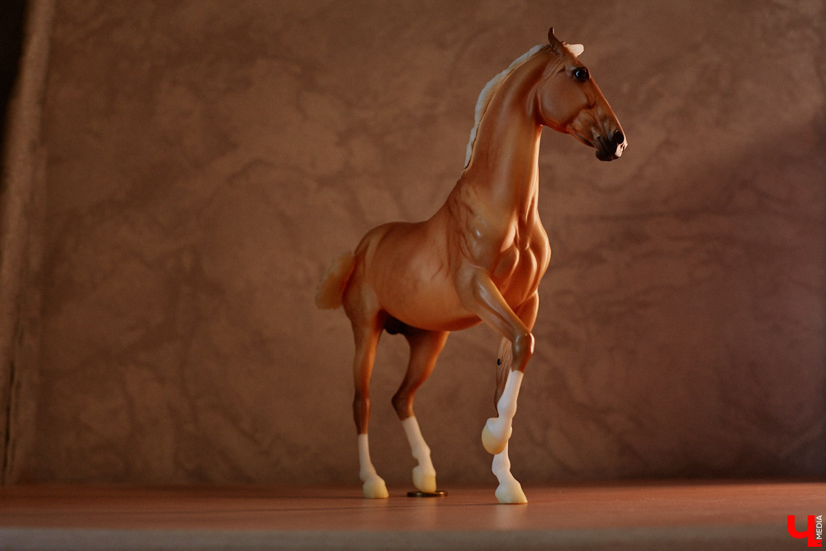 Любовь с первого взгляда. Именно это можно считать причиной появления коллекционных мини-лошадок на полках у Анастасии Лещинской. Собрание продолжает пополняться и сегодня, спустя 14 лет с момента приобретения первой фигурки. О самых редких и любимых статуэтках девушка рассказала «Ключ-Медиа»