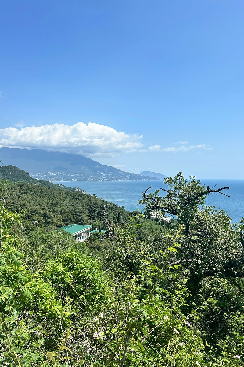 Классические шесть дней, семь ночей – критично малый срок для погружения в атмосферу курорта. А иногда не хватает и месяца, как в случае Ольги Шигаевой. Девушка отправилась в Крым залечить душевные раны и восстановиться, но в итоге 30-дневный ретрит перерос в решение переехать на берег Черного моря