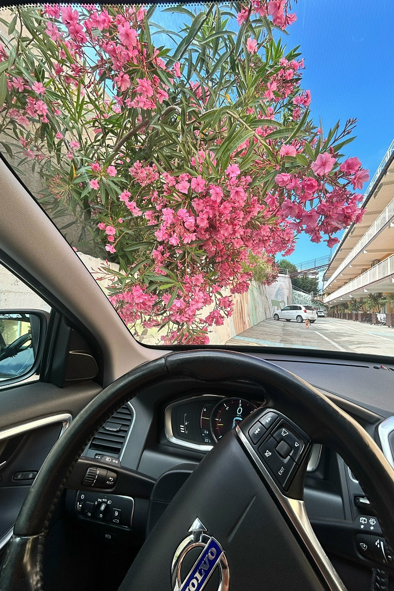 Классические шесть дней, семь ночей – критично малый срок для погружения в атмосферу курорта. А иногда не хватает и месяца, как в случае Ольги Шигаевой. Девушка отправилась в Крым залечить душевные раны и восстановиться, но в итоге 30-дневный ретрит перерос в решение переехать на берег Черного моря