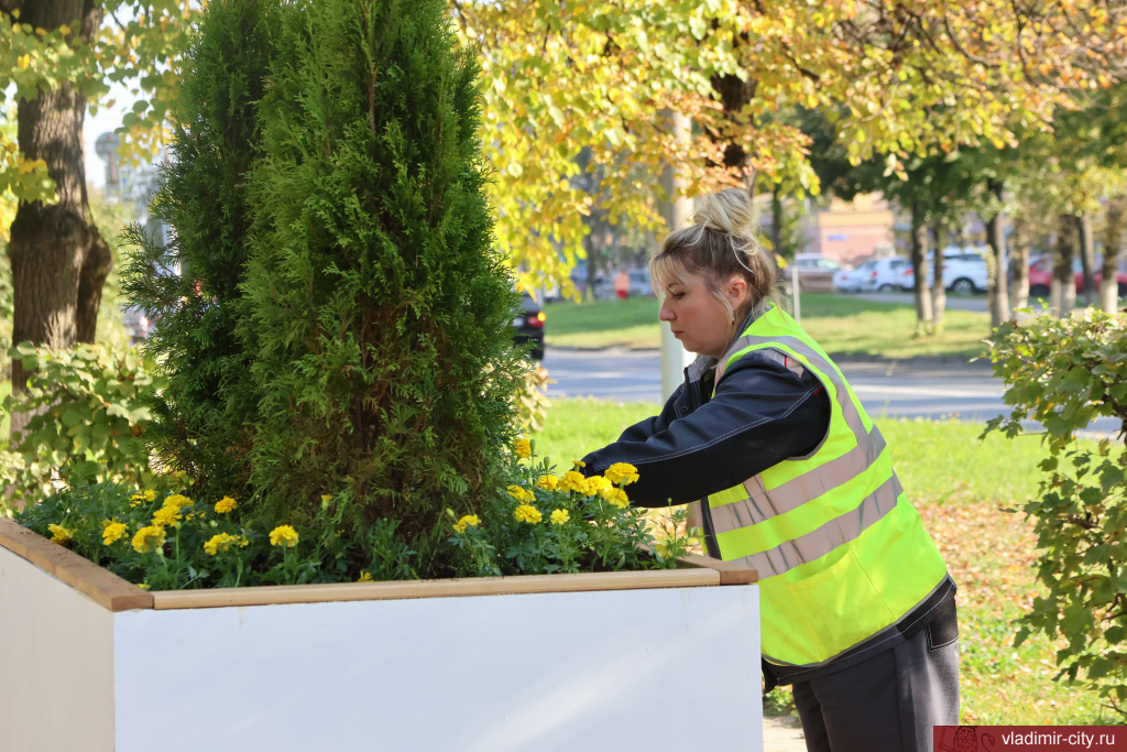 Лето 2025 года подарило Владимиру сразу несколько обновленных общественных локаций. Похорошевший бульвар Художника Иванова стал глотком свежего воздуха для местных жителей. Напротив же Центрального парка не только установили стелу трудовой доблести, но и облагородили территорию вокруг. Насколько комфортными можно назвать эти локации с точки зрения урбанистики и придутся ли они горожанам по нраву? Разобраться помог активист Артем Сыров