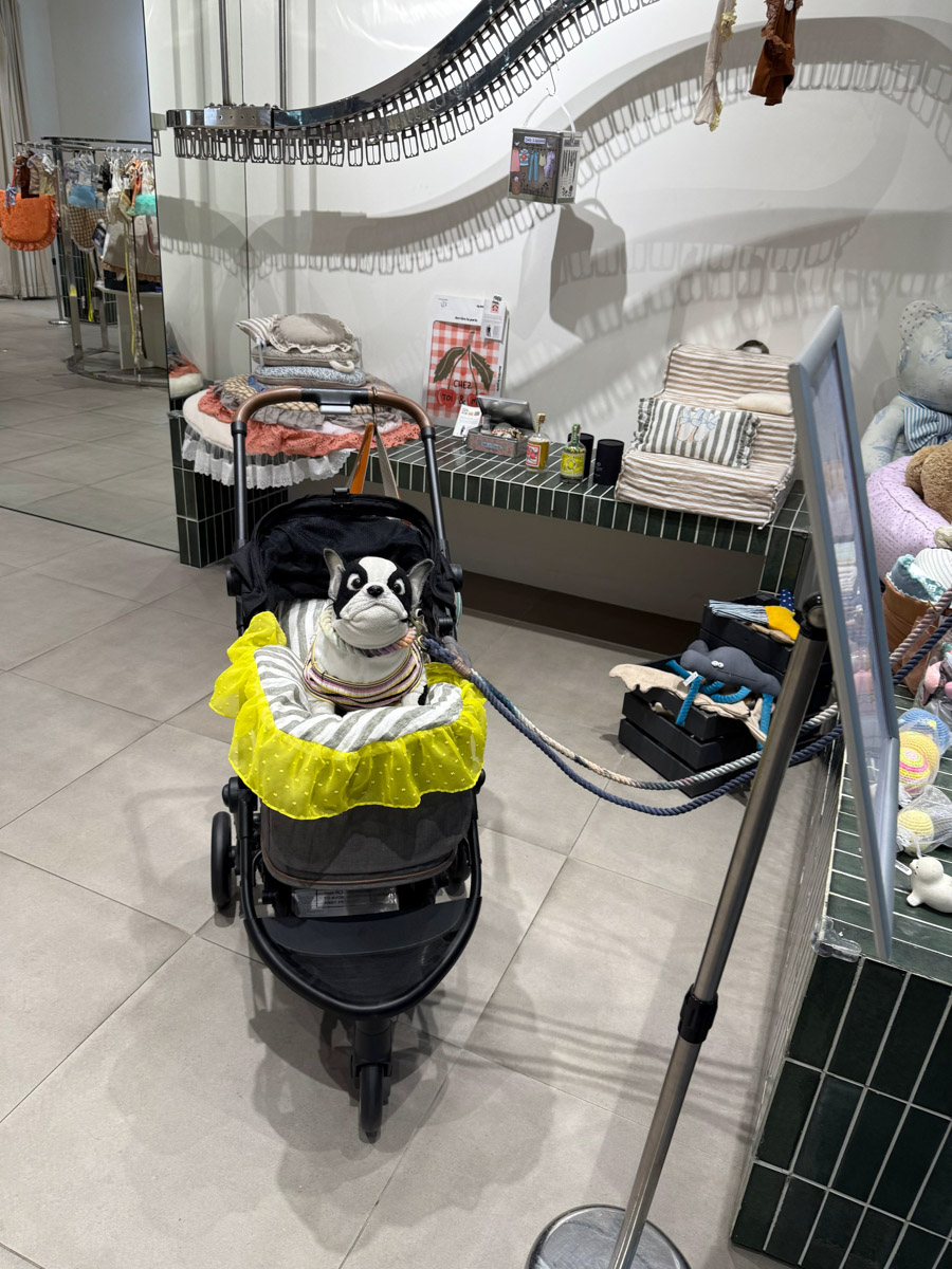 За последние годы Азия стала одним из самых популярных направлений для путешествий. Восточные страны активно развивают туризм, а мы всё сильнее хотим узнать об их жизни. А еще лучше — увидеть ее своими глазами. Именно с такой целью Елизавета Ибрагимова с семьей отправилась в Южную Корею и Китай. О своем тревел-приключении блогер поведала «Ключ-Медиа».