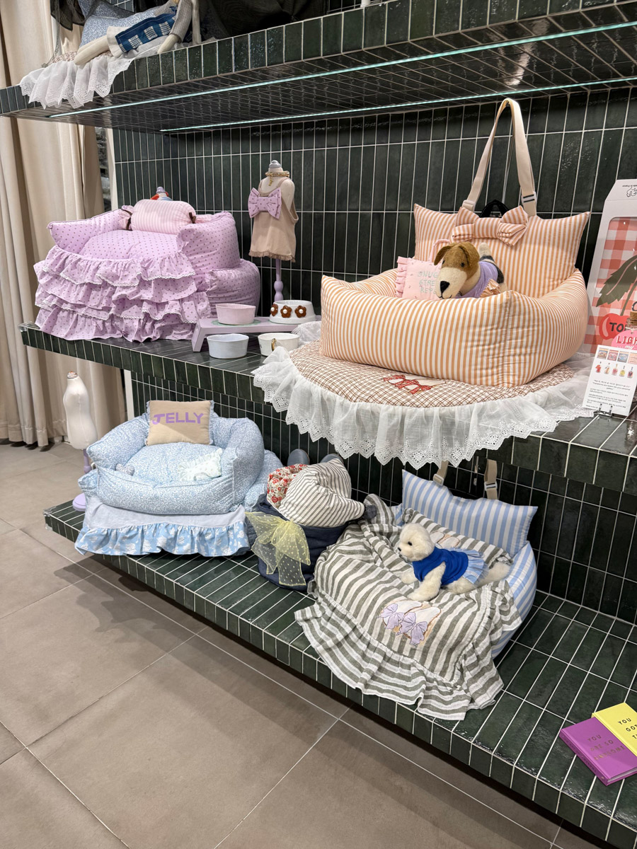 За последние годы Азия стала одним из самых популярных направлений для путешествий. Восточные страны активно развивают туризм, а мы всё сильнее хотим узнать об их жизни. А еще лучше — увидеть ее своими глазами. Именно с такой целью Елизавета Ибрагимова с семьей отправилась в Южную Корею и Китай. О своем тревел-приключении блогер поведала «Ключ-Медиа».