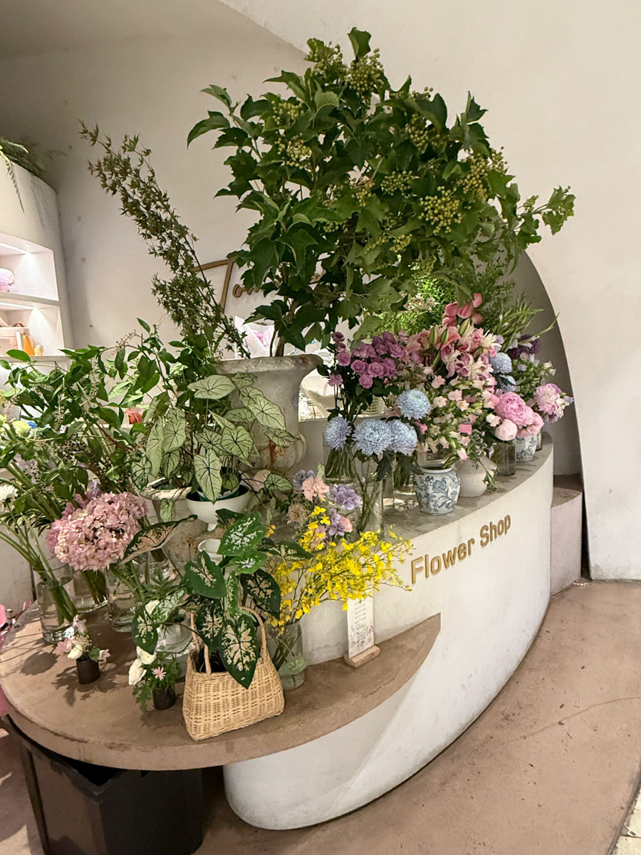 За последние годы Азия стала одним из самых популярных направлений для путешествий. Восточные страны активно развивают туризм, а мы всё сильнее хотим узнать об их жизни. А еще лучше — увидеть ее своими глазами. Именно с такой целью Елизавета Ибрагимова с семьей отправилась в Южную Корею и Китай. О своем тревел-приключении блогер поведала «Ключ-Медиа».