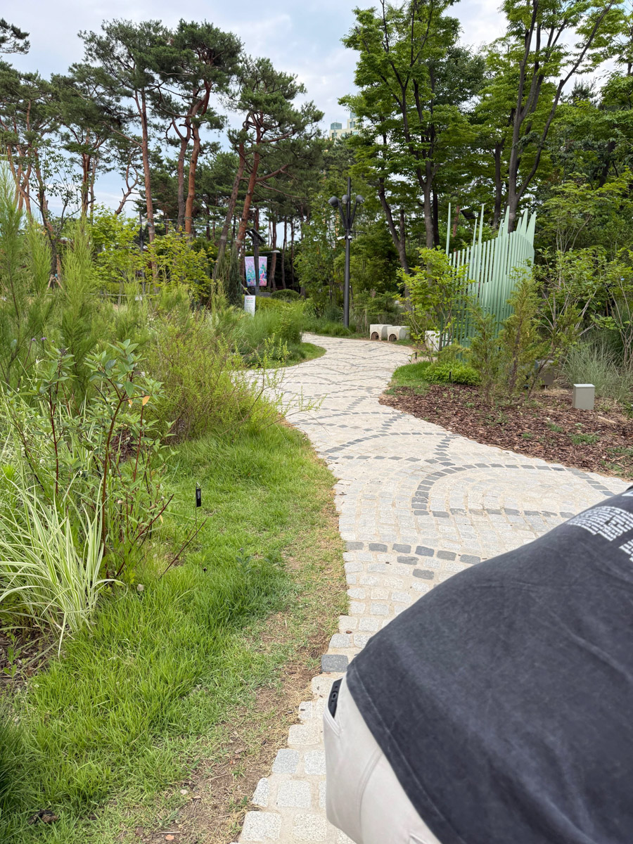 За последние годы Азия стала одним из самых популярных направлений для путешествий. Восточные страны активно развивают туризм, а мы всё сильнее хотим узнать об их жизни. А еще лучше — увидеть ее своими глазами. Именно с такой целью Елизавета Ибрагимова с семьей отправилась в Южную Корею и Китай. О своем тревел-приключении блогер поведала «Ключ-Медиа».