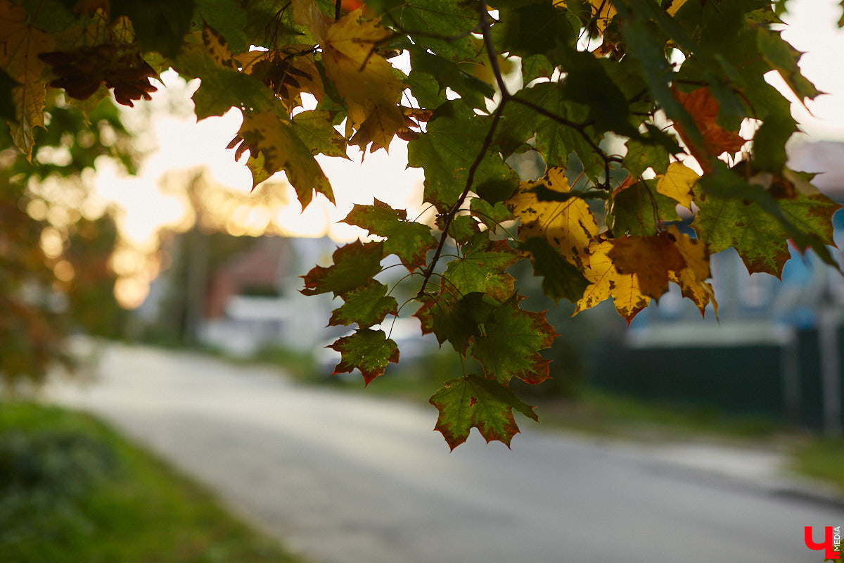 Сентябрь решил устроить владимирцам прощальный сюрприз — целую неделю солнечной погоды, да еще и практически без дождей. К тому же на улице будет не так холодно. С начала октября стартует потепление, правда, недолгое. Что еще? Читайте в нашем прогнозе.